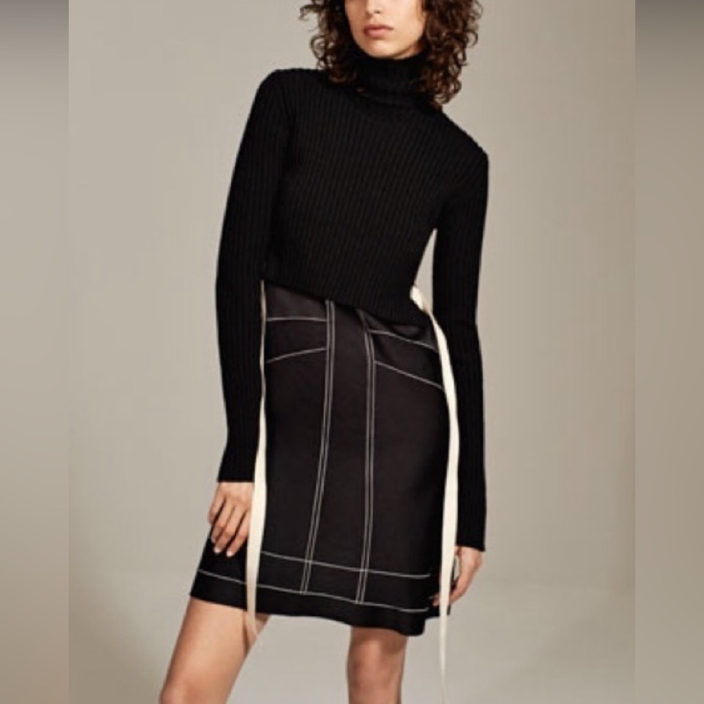 Zara Studio Turtleneck Wool Dress XS S